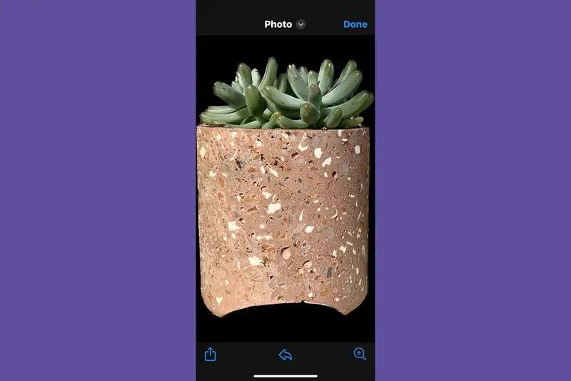 يمكنك نسخ العنصر الرئيسي إلى العديد من التطبيقات. صورة الشاشة: شركة آبل، ديبي وولف