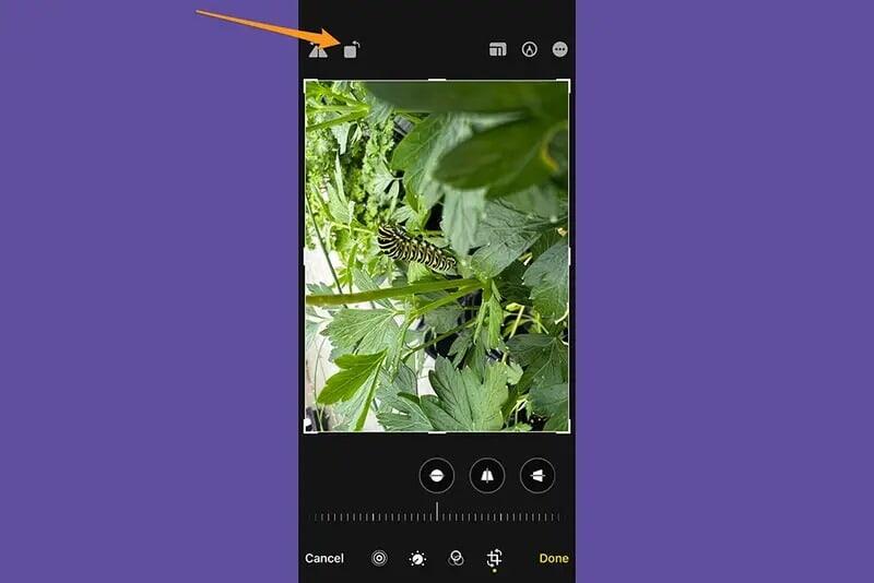ما عليك سوى الاستمرار بالنقر حتى تحصل على التوجه الذي تريده. صورة الشاشة: شركة آبل، ديبي وولف