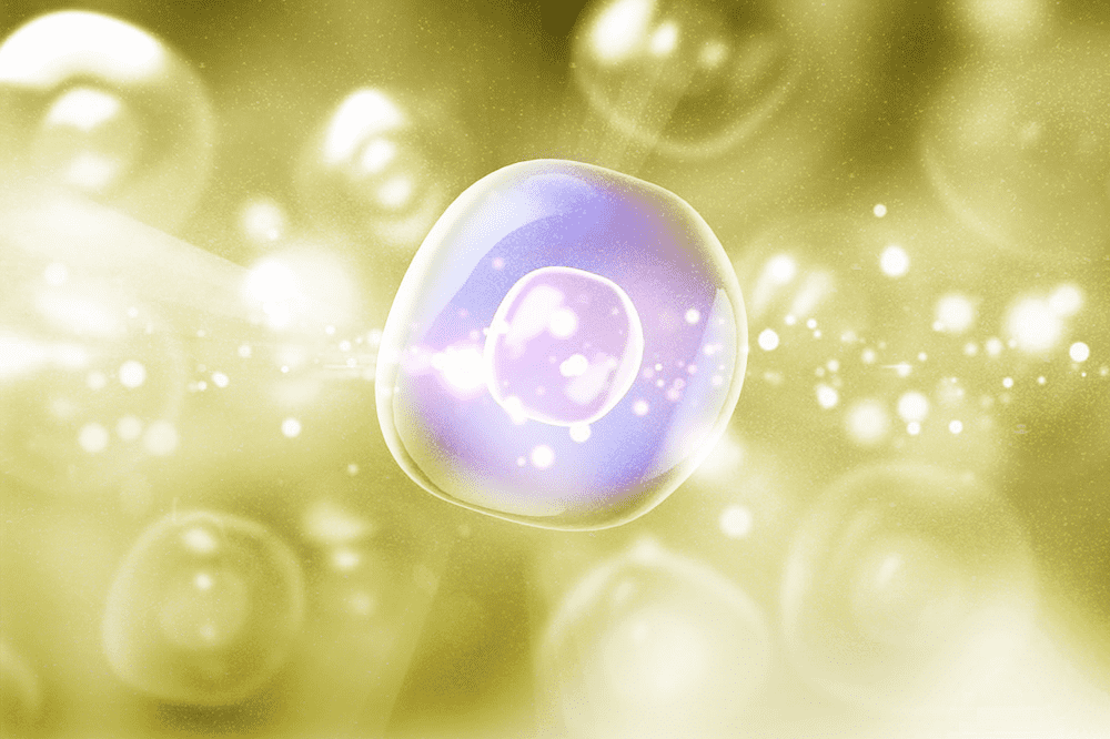 10 أحداث رسمت ملامح عام 2021 العلمية