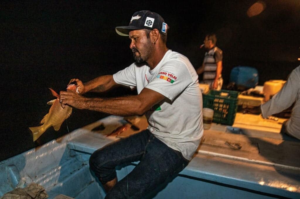 كيف تقود التكنولوجيا استدامة الصيد البحري بعد الجائحة؟