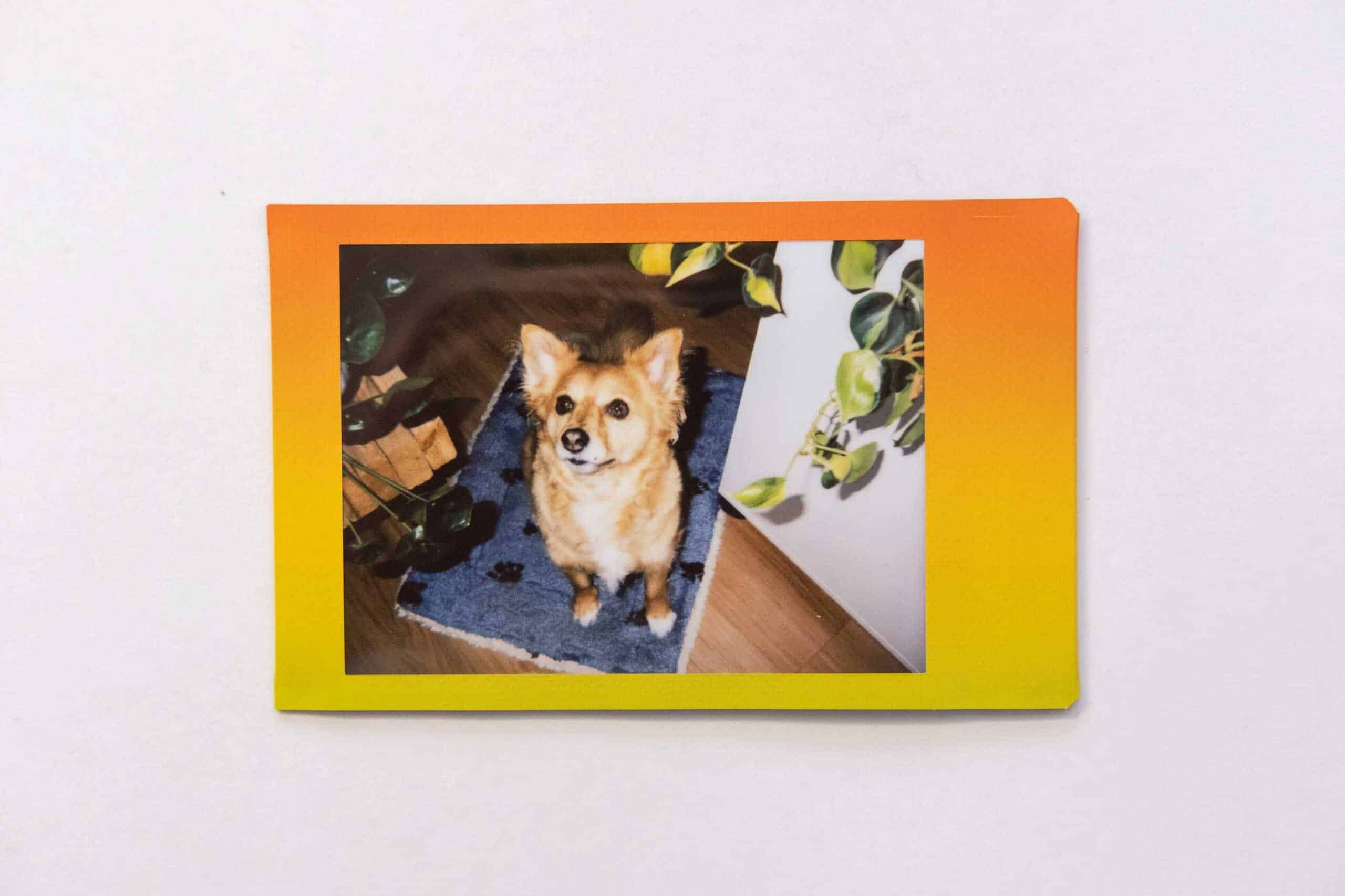 الخطوة الثانية: محاذاة الصورة ضمن إطار التطبيق