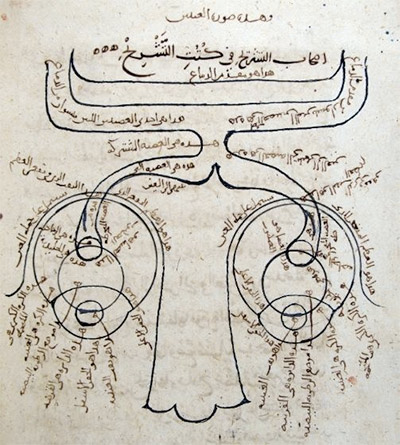 دراسة جديدة من جامعة الشارقة تسلط الضوء على أهمية مؤلفات ابن الهيثم في الفيزياء الحديثة
