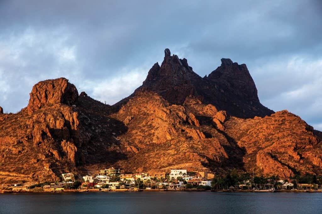 كيف تقود التكنولوجيا استدامة الصيد البحري بعد الجائحة؟