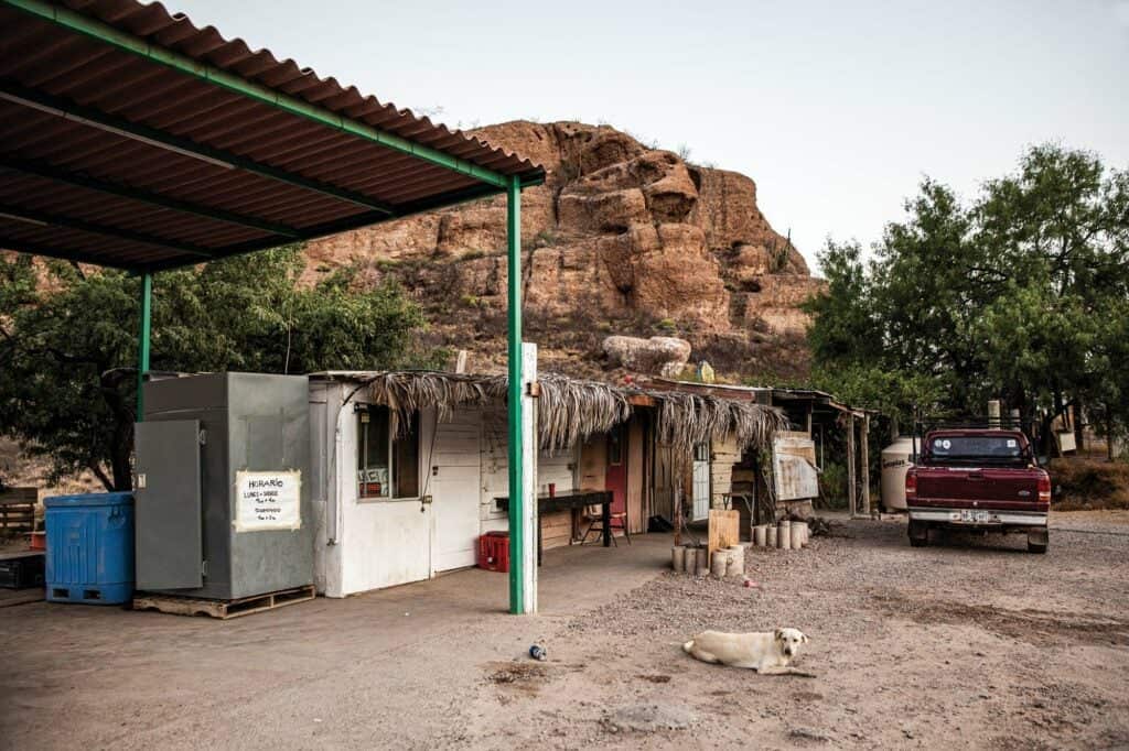 كيف تقود التكنولوجيا استدامة الصيد البحري بعد الجائحة؟