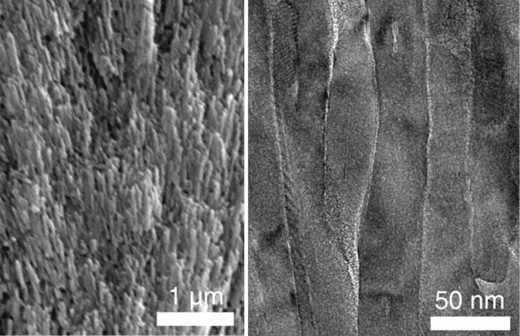 مهندسون ينجحون في تصنيع مينا أسنان اصطناعي أقسى من المينا الطبيعي