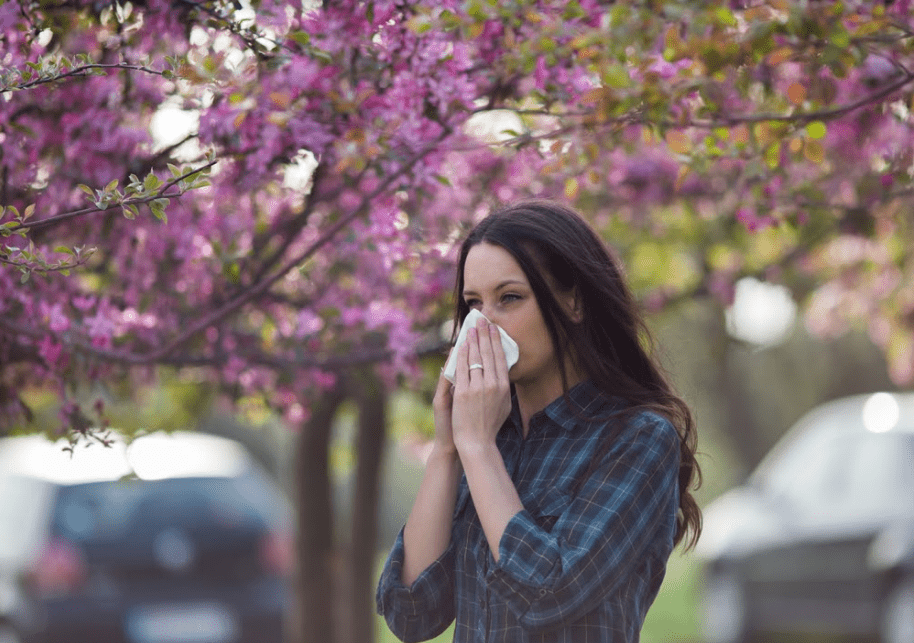 موسم الحساسية