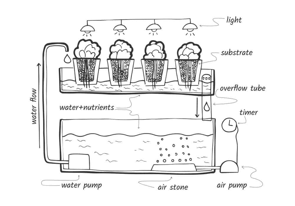 نظام الزراعة المائية بالمد والجزر