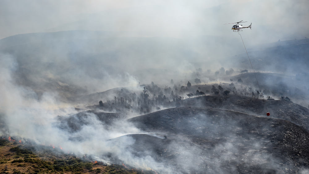 حرائق الغابات