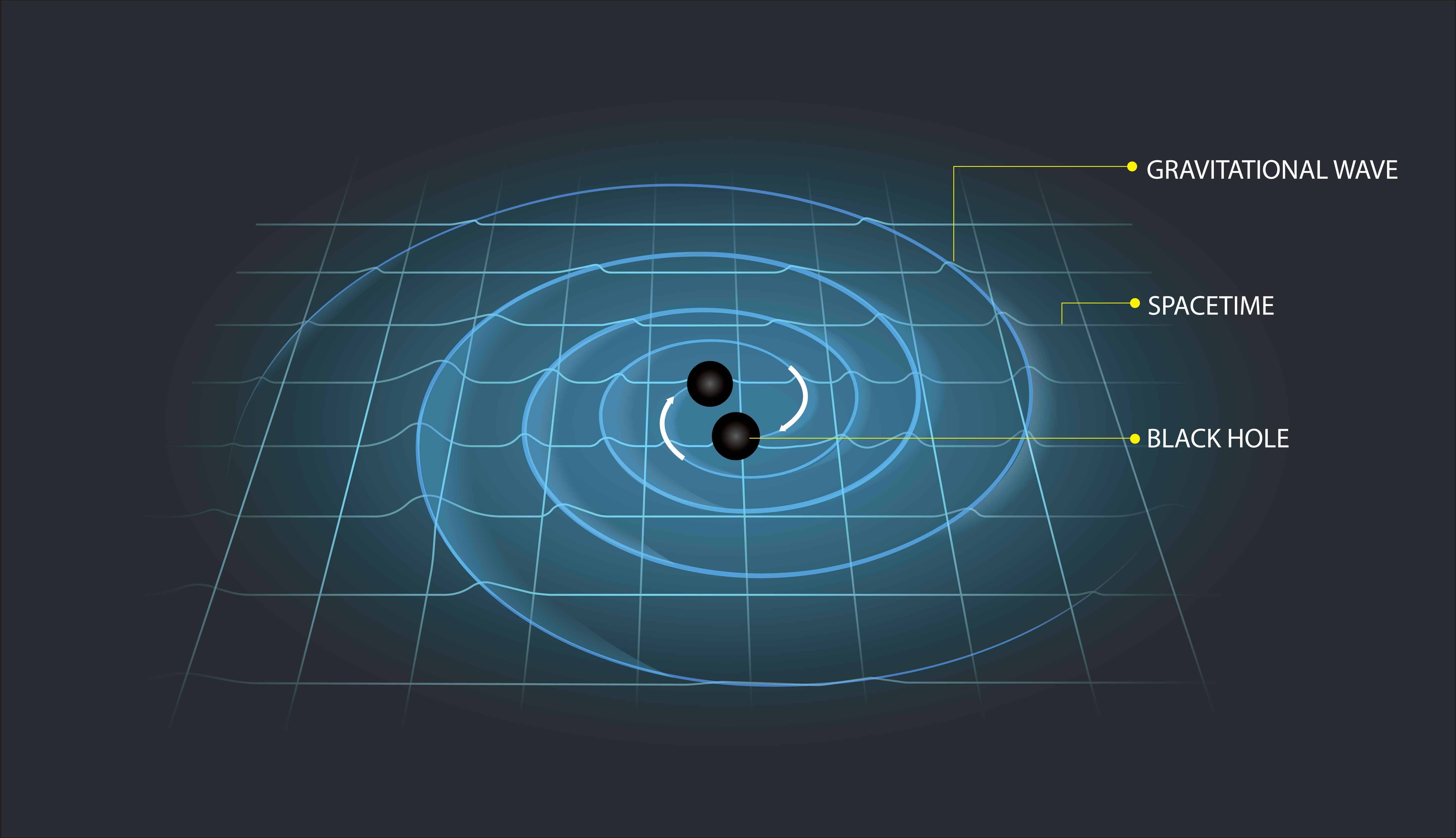 الأمواج الثقالية: تموجات نسيج الزمكان الناتجة عن دوران ثقبين أسودين