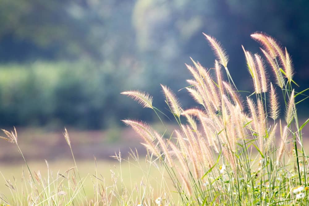 حقوق الصورة: shutterstock.com/ Djda