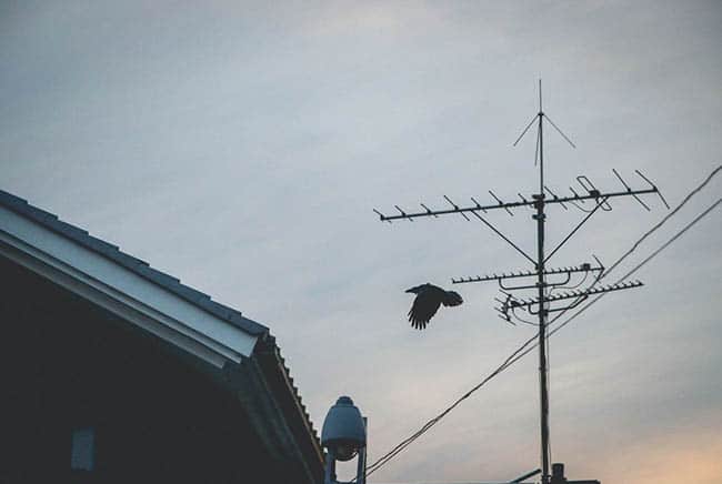 تلفزيون, انترنت, لاب توب, مشاهدة مسلسل, أفلام