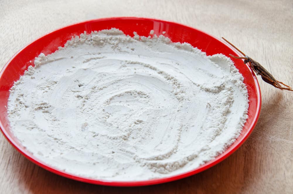 التخلص من الصراصير