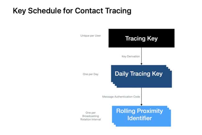جوجل, آبل, أيباد, كورونا, فيروس كورونا, تقنية