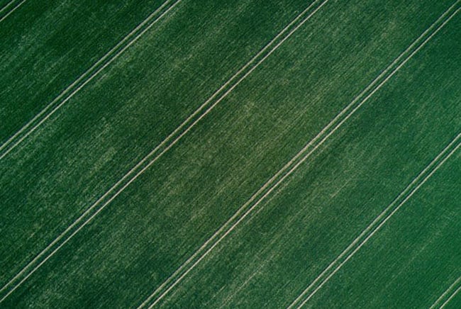 تربة, التغير المناخي, مقالات علمية, علوم, بيئة