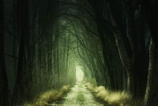 العمى, الرؤية, الإبصار, الأحلام, كفيف, ذوي الاحتياجات الخاصة