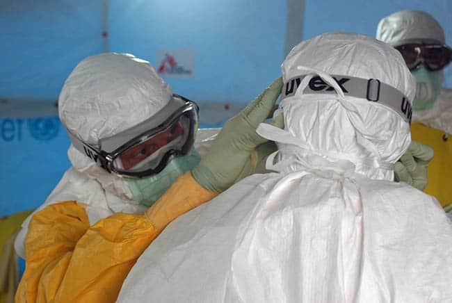 فيروس كورونا, بوبساي, الصحة, أمراض, كورونا نوفل